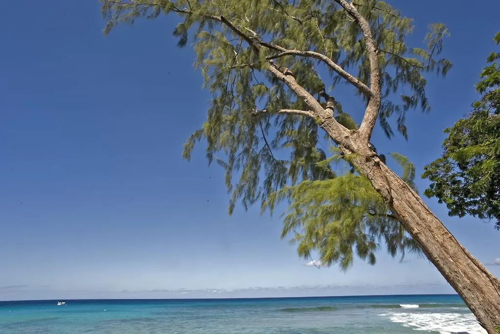 #1 Mango Court Villa Saint James Holiday home